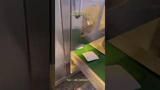 三角茶包包装机，台湾花草茶包装机，一体机包装机制造商，Triangle tea bag packaging machine, Taiwan herbal tea packaging machine