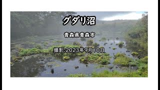 グダリ沼(青森県青森市)20230910