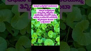 ಬುದ್ಧಿ ಶಕ್ತಿ#ಬ್ರಾಹ್ಮಿ#ಒಂದೆಲಗ#ರಾಮಬಾಣ#memory power#viral#shorts#YouTube shorts#health#healthtips#video