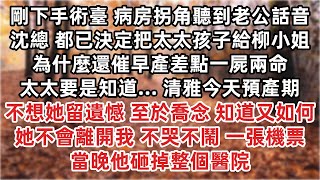 剛下手術臺 病房外一人沒有 拐角聽到老公話音 沈總 都已決定把太太孩子給柳小姐 為什麼還催早產差點一屍兩命 清雅今天預產期 不想她留遺憾 至於喬念 知道又如何  不哭不鬧 一張機票 當晚他砸掉整個醫院