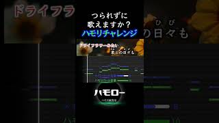 #ドライフラワー  #ハモリ我慢ゲーム #ハモリチャレンジ #ハモリ動画 #ハモリ