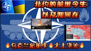 北约的前世今生，以及如何在乌克兰危机中火上浇油。What is NATO, and its role in Ukraine crisis.