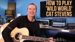 How to play 'Wild World' by Cat Stevens