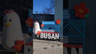 Busan Station #koreawalk #koreatravel