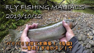 FlyFishingManiacs2019/10/12～バリバリ支流三本勝負！（後編）～驚愕！支流のヌシ！？