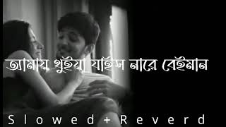 আমায় থুইয়া যাইস নারে বেইমান || Amai thuiya jass nare beiman || #bangla #lofi #song