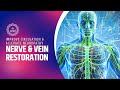 Nerve & Vein Restoration: Improve Circulation & Alleviate Neuropathy with 528Hz Healing Tone