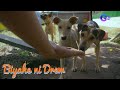 Fur-ever home sa Tarlac, binisita ni Biyahero Drew | Biyahe ni Drew