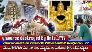 మంగళగిరి పానకాలస్వామి అంతుచిక్కని మిస్టరీ | Mystery of Mangalagiri Narasimha Swamy | Deva Rahasyam