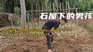 這是怎麼回事，男孩將自己辛辛苦苦搭建的小院給燒著了，原來這樣是為了讓接下來的蔬菜能夠茁壯生長《石屋下的男孩》41