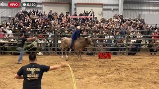 ¡G63 perdió el invicto vs Kikito de Jalisco! RANCHO EL AGUAJE en King City California 9 Nov 2024