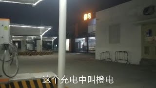 在农村人工养殖好项目，养殖金蝉，现在供不应求，不错哦 61