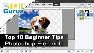 Top Ten Things You Should Know in Photoshop Elements Expert Mode for Beginners