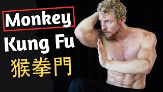 Shadowboxing with Monkey Kung Fu Techniques - Monkey Xinyi Ba