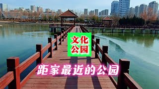 东营文化公园，几乎天天散步的地方