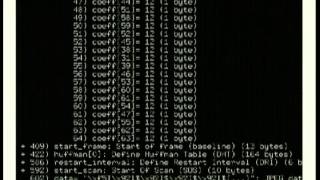 Console Applications with Urwid