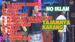 TASYA ROSMALA FULL ALBUM TERBARU ADELLA 2024 || TAJAMNYA KARANG,CAMELIA , ANGIN ,HUJAN DURI ,DELIMA