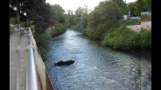 IL FIUME NERA NEL TRATTO URBANO DI TERNI TRA IL VERDE DELLA NATURA