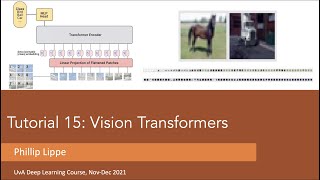 Tutorial 15: Vision Transformers