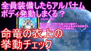 【星ドラ】命竜の衣上を全員が装備したらどうなるか挙動チェック