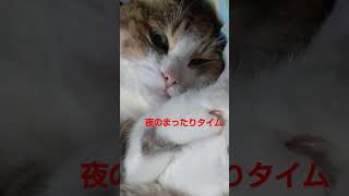 かわいいカワイイ　でも変顔