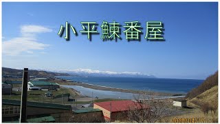 【天登雁村】小平町鰊番屋【海の男は群来に喜ぶ】