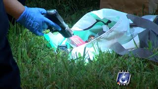 Four arrested after alleged robbery, police chase