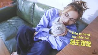 【周锐 Zhou Rui】Eng Sub周锐与猫|Of Cat and Rui