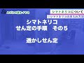 簡単にできるシマトネリコの特徴と手入れ方法について