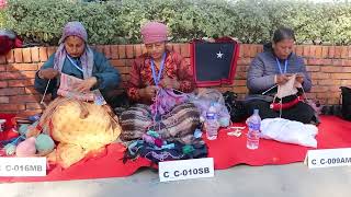 17th Handicraft Competition - १७ औं हस्तकला प्रतियोगिता