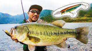 【How to】JACKALL RISER BAIT 009P