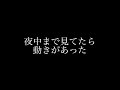 アクアリウム【後輩カサゴの新しい隠れ家】果たして使ってくれるのだろうか