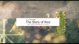 米文化継承番組「The Story of Rice」ダイジェスト2