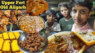 Street Food Of Old Aligarh | Upper Fort Street Food Aligarh City | Aligarh Street Food