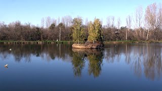 TAMNAVSKI DRAGULJI - Fazanerija i jezero Paljuvi