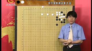 方天丰中级围棋：官子基础20