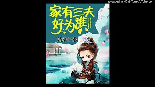 《家有三夫好为难》有声小说第130集