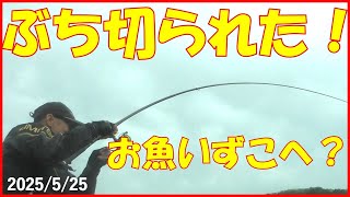 2025/5/25和歌山県串本町潮岬【うりた渡船】釣れたらいいね！なんちゃんチャンネル