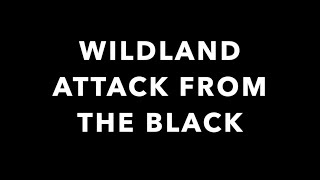 BASIC WILDFIRE Part 14: "ATTACK FROM THE BLACK"
