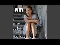 Why (Radio Mix)