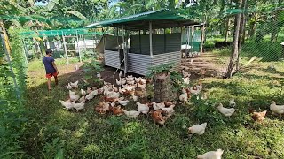 Issy's Farm - Feeding Forages and Range Management