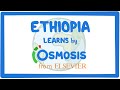 Osmosis Around the World: Ethiopia