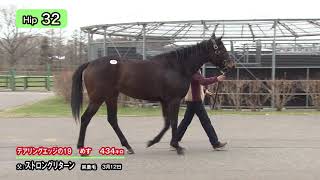 Hip32　デアリングエッジの19　父ストロングリターン