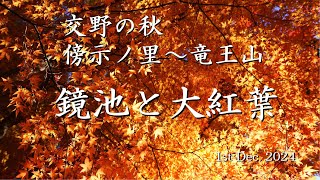 交野の秋 鏡池と大紅葉 傍示ノ里～竜王山 1st.Dec.2024