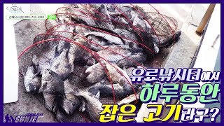 선재낚시공원 어린이날 유료낚시터 바다낚시터 참돔 우럭 능성어 낚시사랑 낚시 바다낚시 유료낚시터