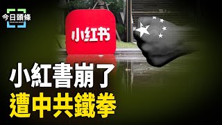 中共對小紅書憂喜參半 新粉兒遭中共鐵拳；川普上任整頓移民 近3萬8千中國人「可驅逐」 主播：張恩【希望之聲粵語頻道-今日頭條】