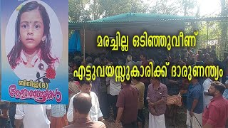 മരച്ചില്ല ഒടിഞ്ഞുവീണ് എട്ടുവയസ്സുകാരിക്ക് ദാരുണന്ത്യം