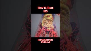 Ways to treat IBS | Irritable Bowel Syndrome #ibs #digestion #shorts