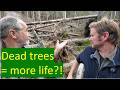 Role of disturbance in forests: lessons creating deadwood