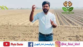 How sulphur works in soil | Naturally produced sulphuric acid in soil | Phyto Doctor
